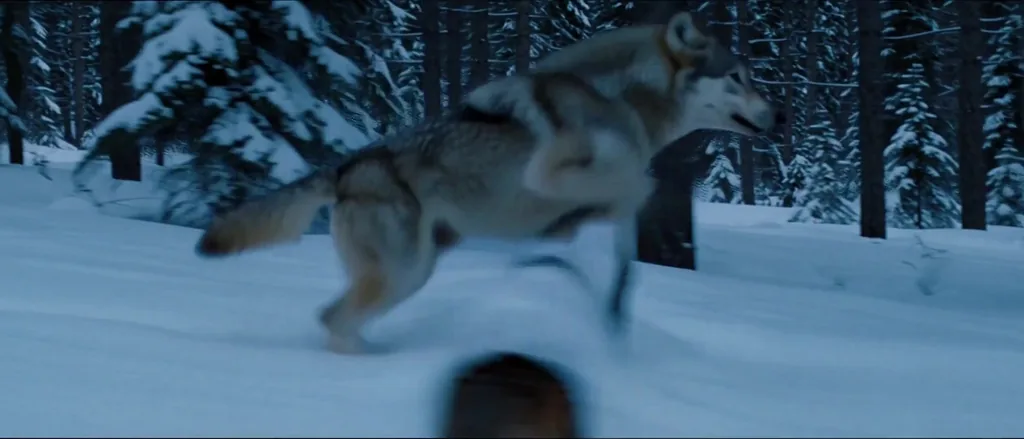 Actual five-second 21:9 Studio result from one text prompt. A low tracking camera keeps pace with a running animal.